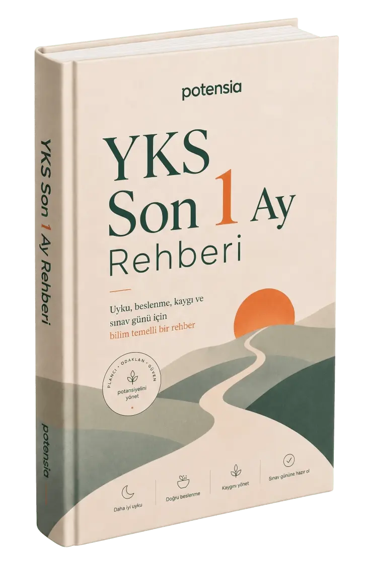 YKS'ye 1 ay kaldı ücretsiz e-kitap rehberi